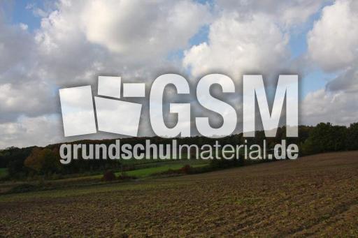 Herbststimmung-25-10-09 007.jpg